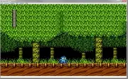 Nestopia (Famicom Emulator for Windows)