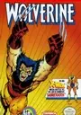 Wolverine ROM