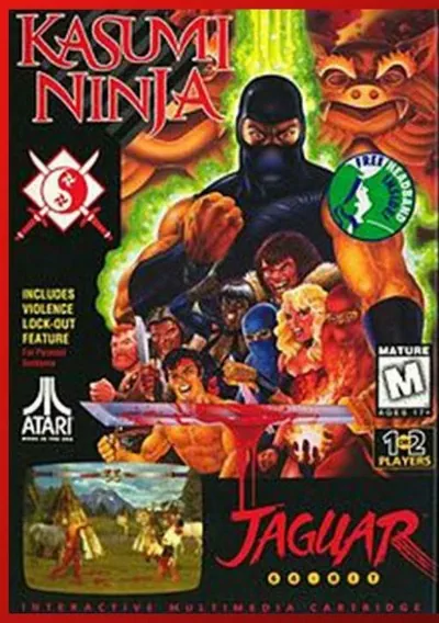 The cover of the game «Kasumi Ninja»