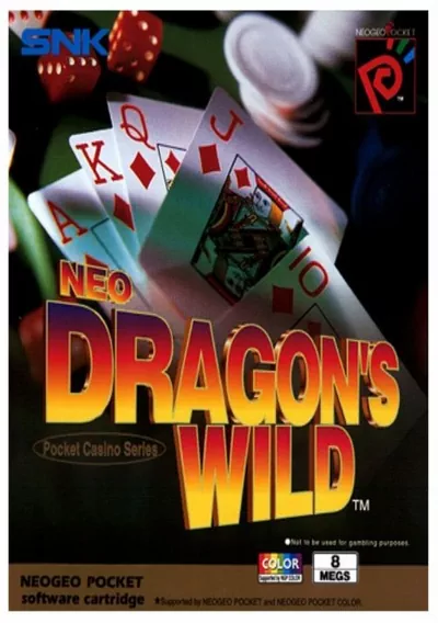 The cover of the game «Neo Dragon's Wild»