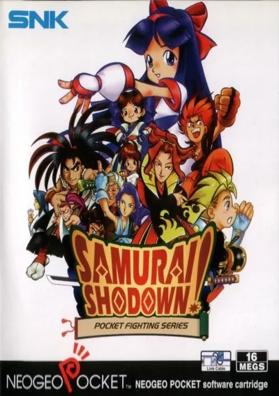 The cover of the game «Samurai Shodown!»